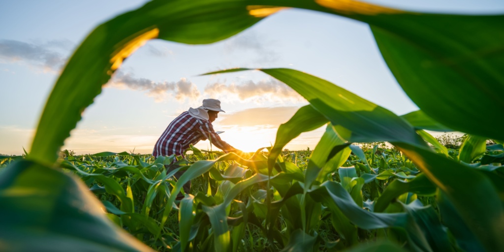 Soluções agro sustentável